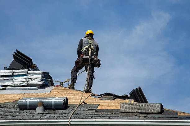 Professional Gutter Installation technician working in Millsboro, DE
